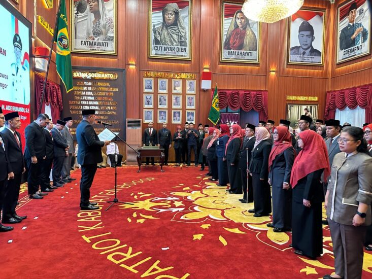 IMG-20250626-WA0206-733x550